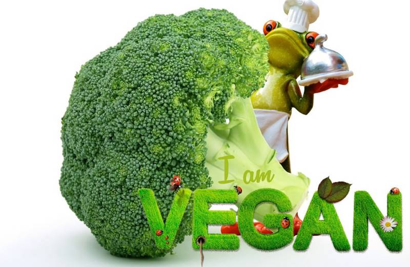menu-vegan