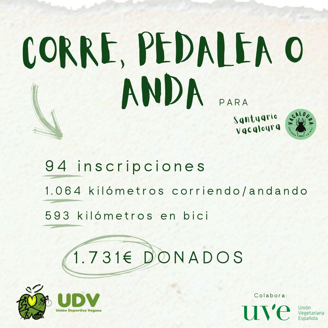 Copia de Finde solidario Vacaloura